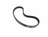 Load image into Gallery viewer, Alternator Belt For BMW Oilhead, Hexhead 592mm 12 31 7 681 841
